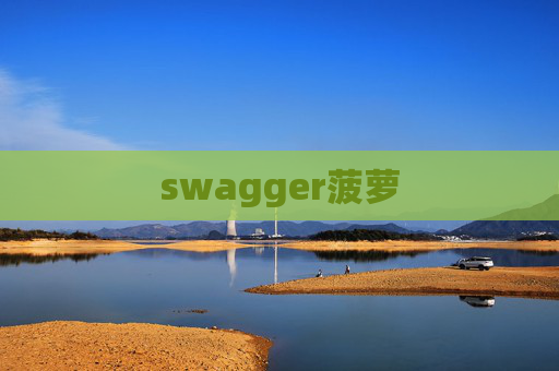 swagger菠萝 swagger菠萝